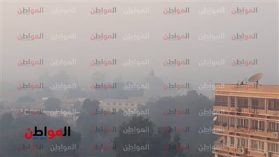 صور| شبورة مائية تسود الأجواء