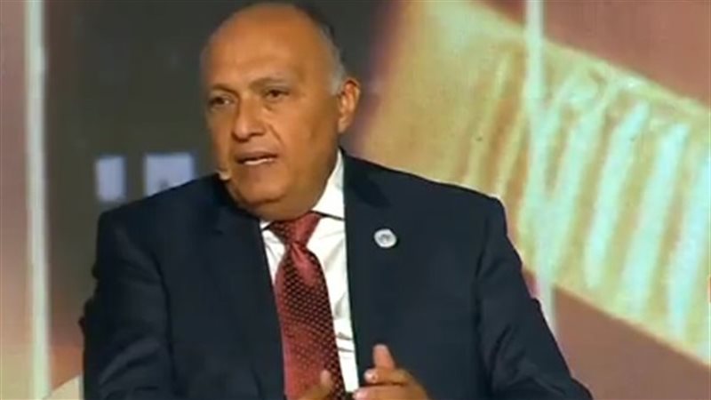 سامح شكرى