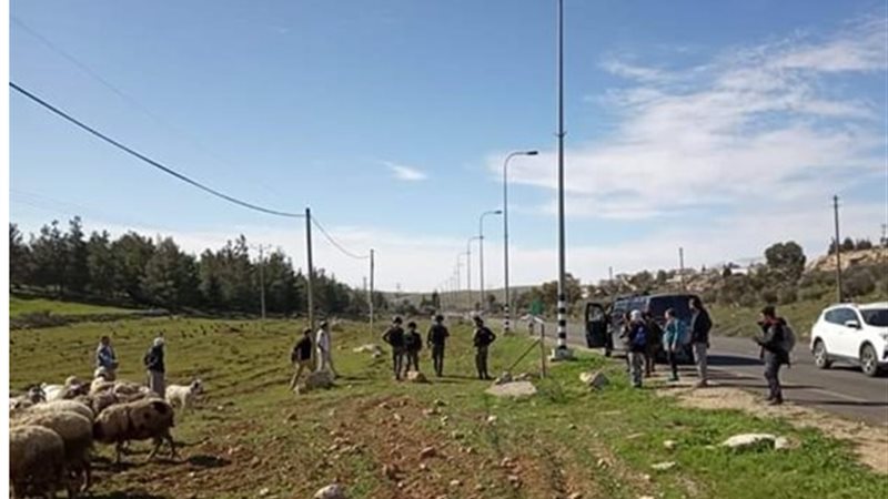 رعاة أغنام فلسطينيين