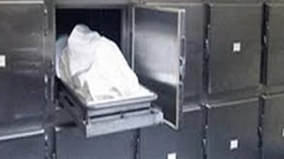مصرع ربة منزل في حادث انقلاب سيارة على الطريق الصحراوى 