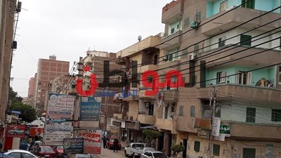 صور| حالة الطقس.. موجة من الصقيع تجتاح كفر الشيخ