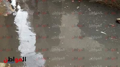 صور| بعد تحذيرات هيئة الارصاد الجوية .. مياه الأمطار تغرق برج مغيزل والأهالي يستغيثون