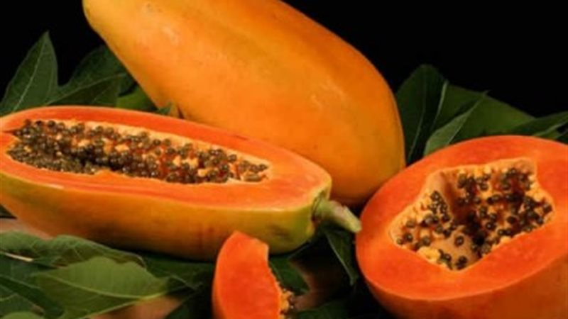 سميث والبابايا