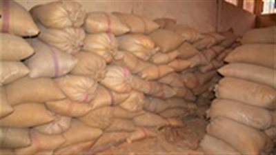 ضبط 136 طن من القمح قبل بيعها بالسوق السوداء في بني سويف  