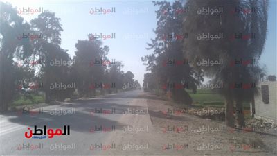 صور| حالة الطقس.. جو مشمس مع برودة خفيفة ببني سويف