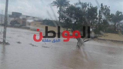 عاصفة رملية تجتاح البلاد.. واستمرار غلق ميناء البرلس