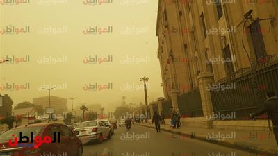صور .. عاصفة ترابية تسيطر على مبنى كلية آداب جامعة القاهرة