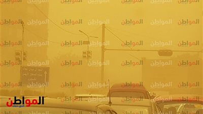 شبكة الكهرباء صامدة أمام عاصفة رملية شديدة 