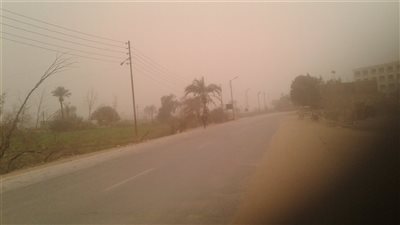 صور.. عاصفة رملية تغطي سماء بني سويف 