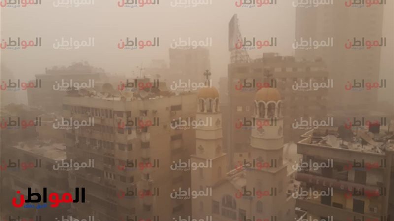 المواطن