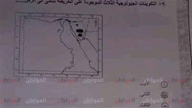 المواطن