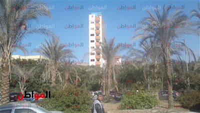 صور.. تحسن الأحوال الجوية في اخبار الطقس ببني سويف اليوم