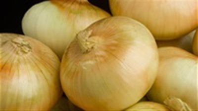 بشكل مؤقت.. السعودية تحظر استيراد البصل المصري 