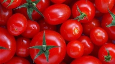 دي مجنونة .. سعر الطماطم اليوم الجمعة 18 يناير في سوق العبور