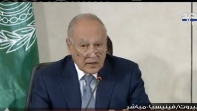 أبو الغيط: الدول العربية ليس بمقدورها أن تواكب التطورات الاقتصادية بمفردها
