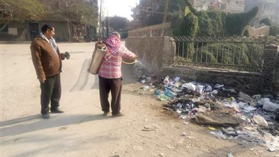 مكافحة ناقلات الأمراض: رش 3000 متر بمناطق متفرقة في بني سويف 