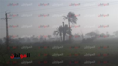 صور.. سطوع الشمس وتحسن الأحوال الجوية ببني سويف اليوم