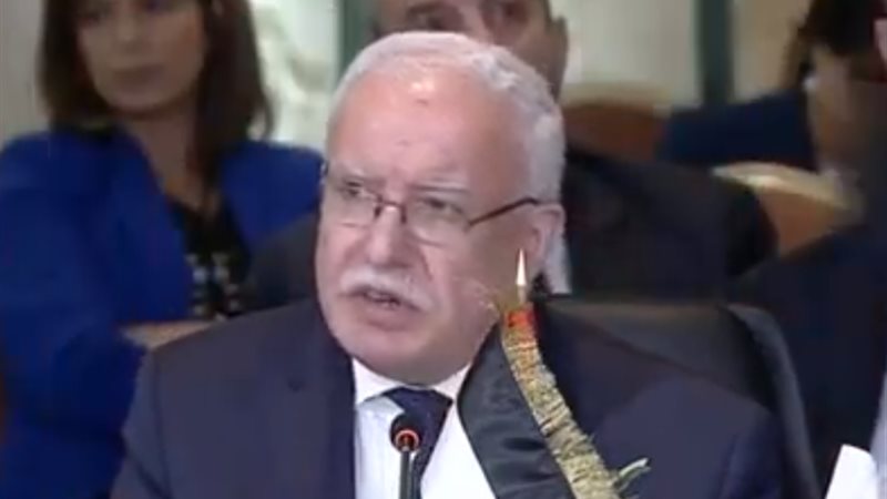 رياض المالكى واقتصاد