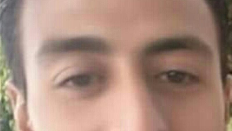 عبد الرحمن شوقى محمد