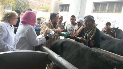 صور.. قوافل الطب البيطري تجوب قرى سوهاج