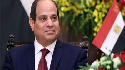 الرئيس السيسى يشدد على تطوير العنصر البشرى فى منظومة الضرائب 