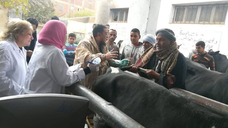 قوافل الطب البيطري