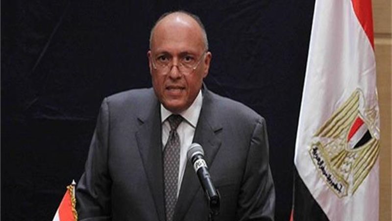 سامح شكرى والأعمال
