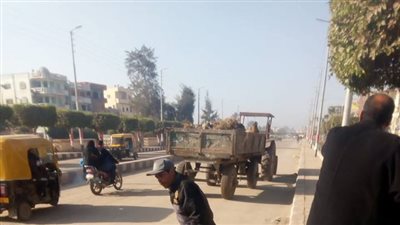 صور.. حملة لرفع القمامة من شوارع الحسينية بالشرقية