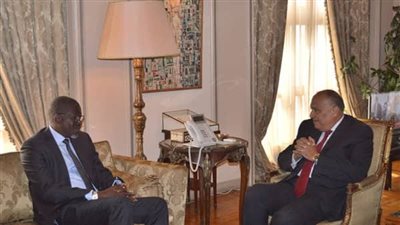 صور| للمرة الأولى.. الأمين العام للصليب الأحمر يزور المحروسة و