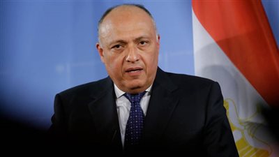  سامح شكرى: نعمل على تعزيز التعاون التجارى مع ليتوانيا 