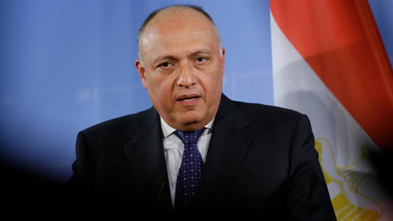 سامح شكرى 