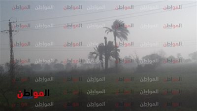 هيئة الأرصاد: موجة رياح جديدة تضرب مصر