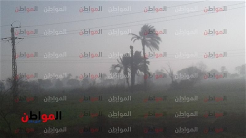 الأرصاد