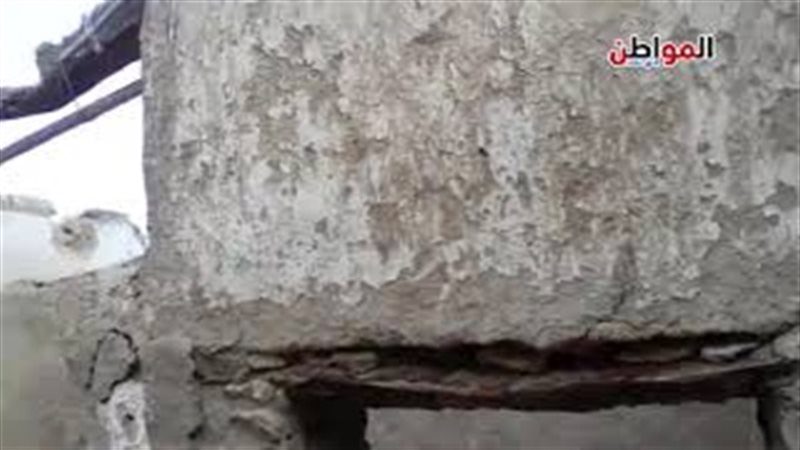 مكافحة النمل الأبيض