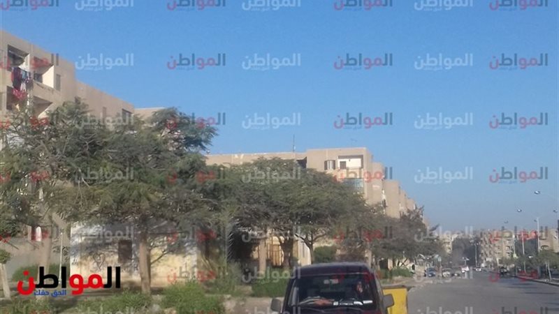 المواطن