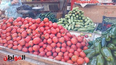 أسعار الخضروات والفاكهة بأسواق كفر الشيخ الجمعة 25 يناير 2019