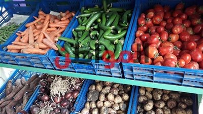 أسعار الخضروات والفاكهة بأسواق كفر الشيخ اليوم السبت