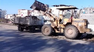 صور ..حملة نظافة مكبرة بمركز دمنهور في البحيرة