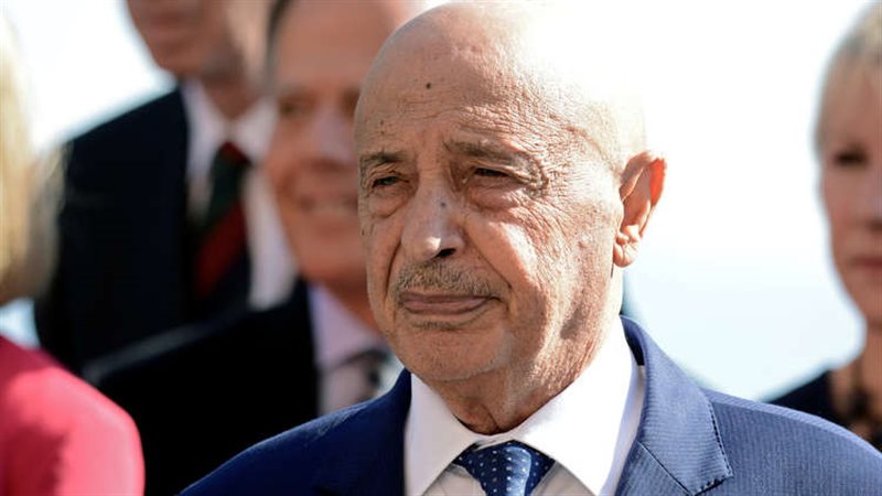 المستشار عقيلة صالح