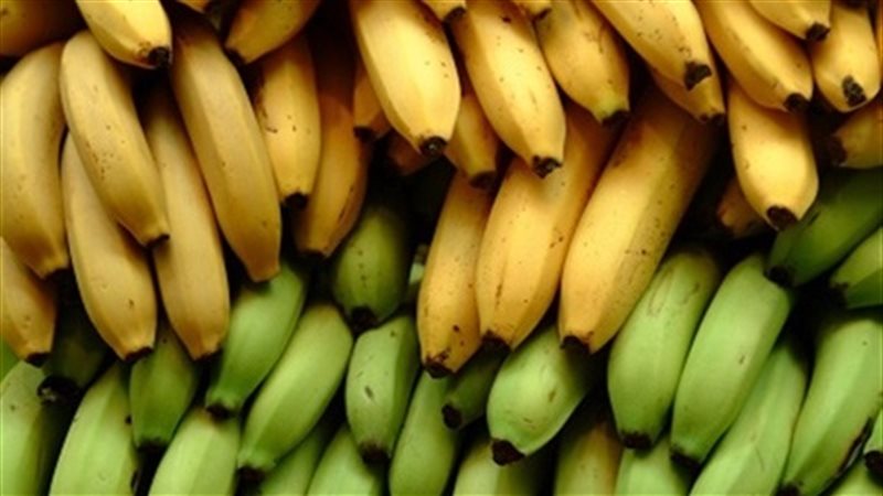 سعر الموز اليوم السبت