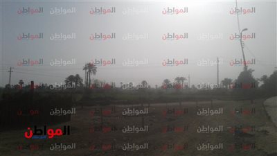 صور.. تعرف على أحوال الطقس في بني سويف اليوم الأحد