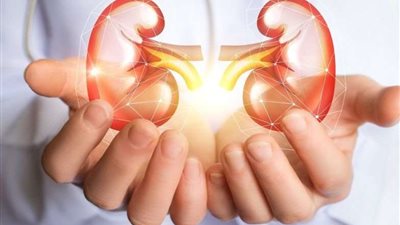 إنفوجراف| مع مبادرة السيسي .. اعرف أعراض الفشل الكلوي