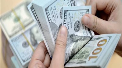 سعر الدولار في البنوك المصرية اليوم الأحد 27 يناير 2019