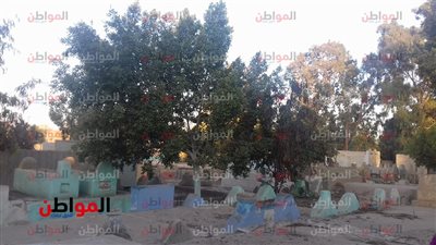 صور| بوابة المواطن ترصد انتهاك حرمة الأموات بالشرقية.. واستغاثات من العالم الآخر