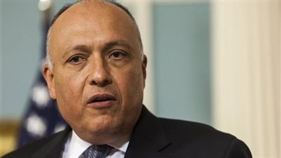 بيدرسون يلتقي وزير الخارجية سامح شكري