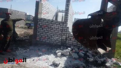  صور| حملات إزالة مكبرة بنطاق مدن و قرى البحيرة  