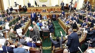 محافظ كفرالشيخ: مجلس النواب يوافق نهائيا على قانون الحكومة بشأن الرمال السوداء