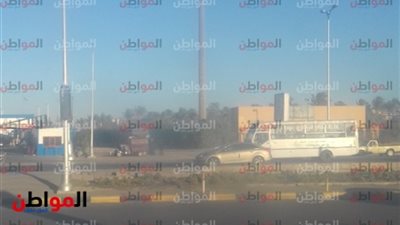 صور.. جو مشمس ضمن حالة الطقس بالجيزة اليوم