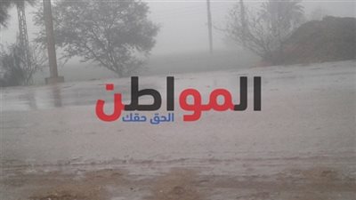 سقوط أمطار خفيفة علي مدن ومراكز كفر الشيخ