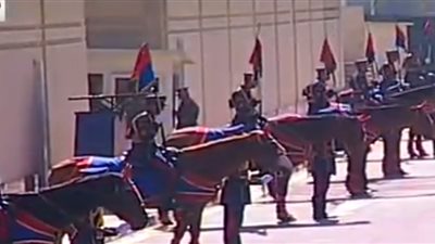 الخيول العربية الأصيلة تستقبل 